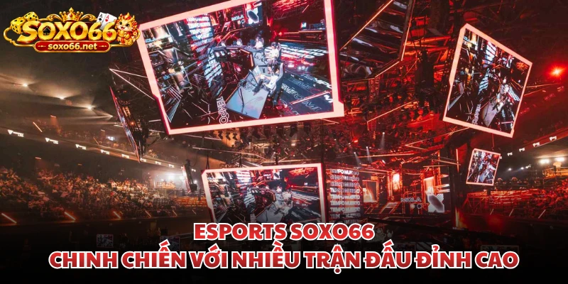 esports-soxo66-chinh-chien-voi-nhieu-tran-dau-dinh-cao