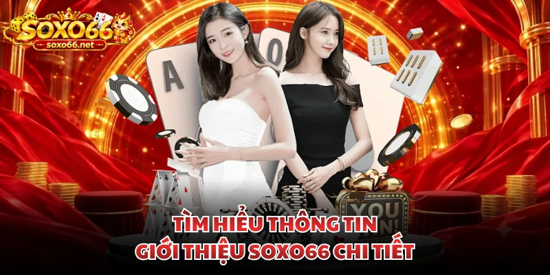 tim-hieu-thong-tin-gioi-thieu-soxo66-chi-tiet